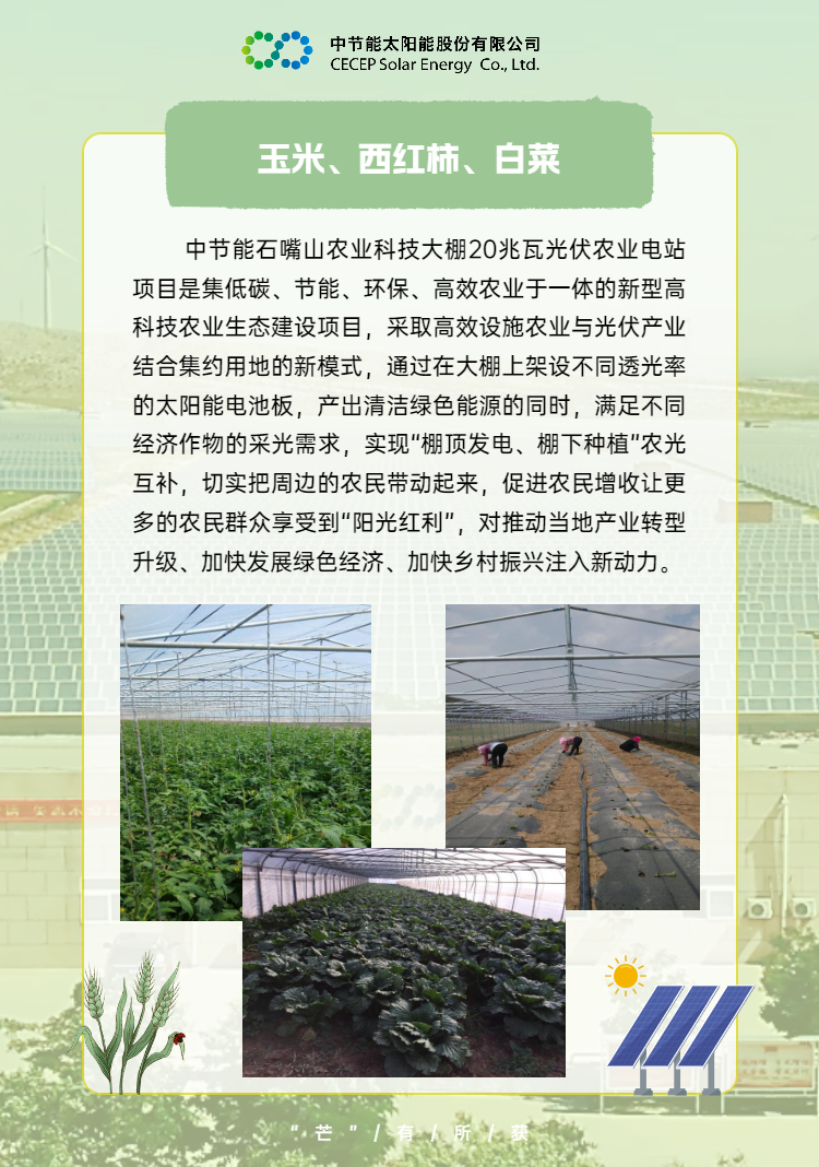 中國節(jié)能助力鄉(xiāng)村振興 (3).png