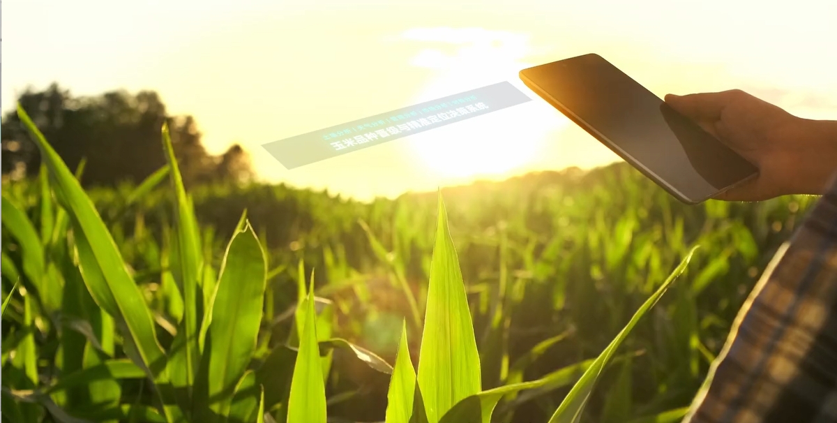 微信圖片_20240515140559.jpg 微信圖片_20240515140559.jpg