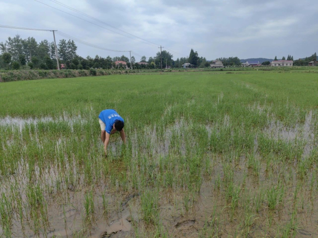 1先正達集團中國-2.jpg 1先正達集團中國-2.jpg