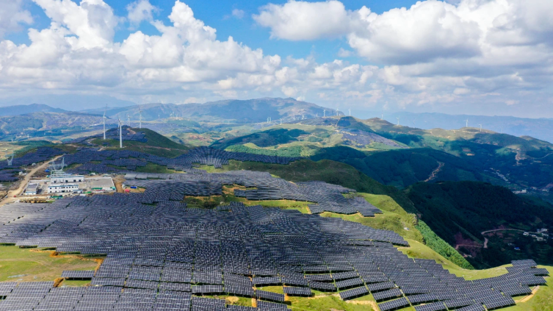 pic_006.png pic_006.png