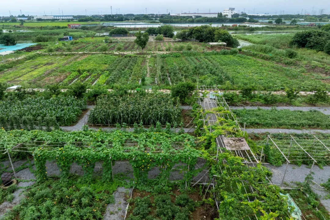 圖片4.png 圖片4.png