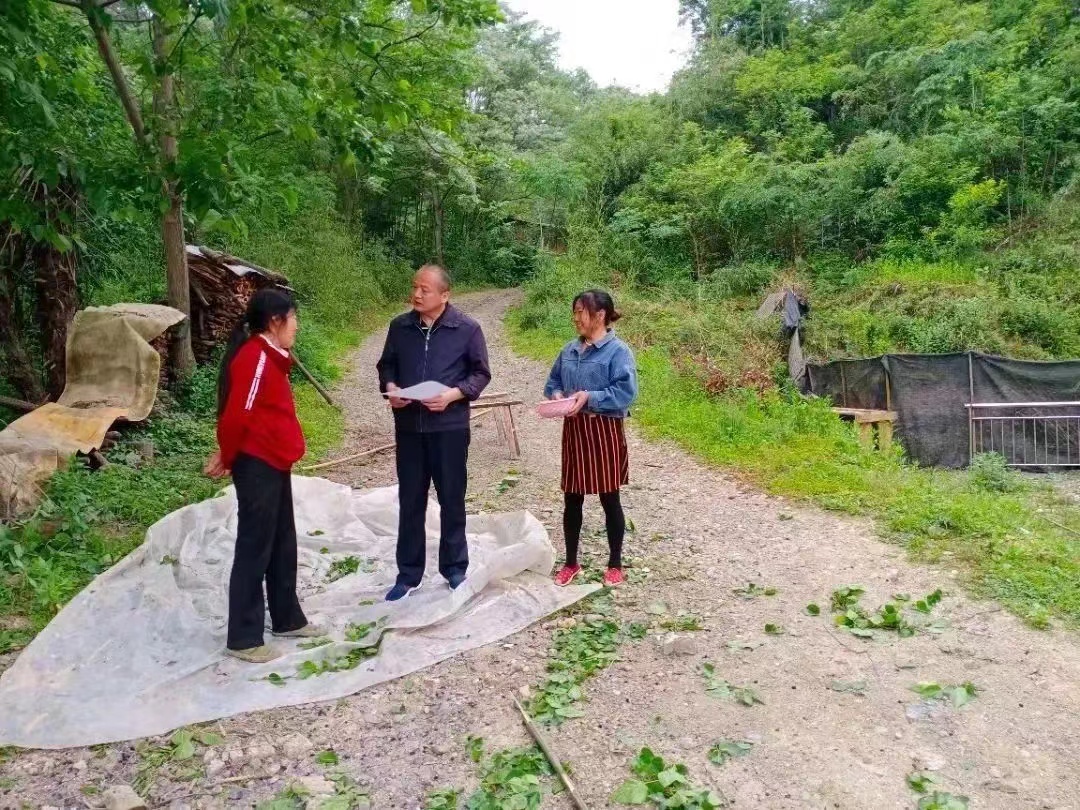 圖片2.jpg 圖片2.jpg