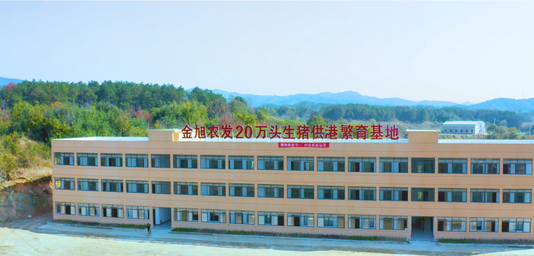 圖片11.png 圖片11.png