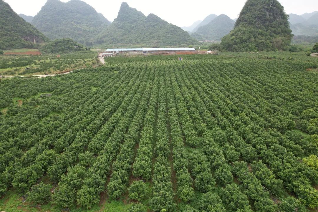 640 (8).jpg 640 (8).jpg