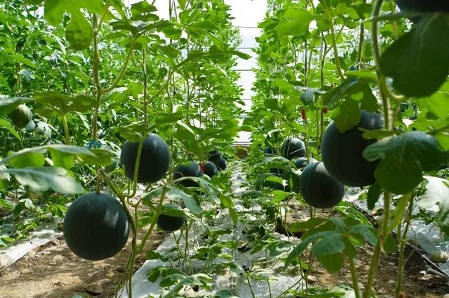 微信圖片_20231031095230.jpg 微信圖片_20231031095230.jpg