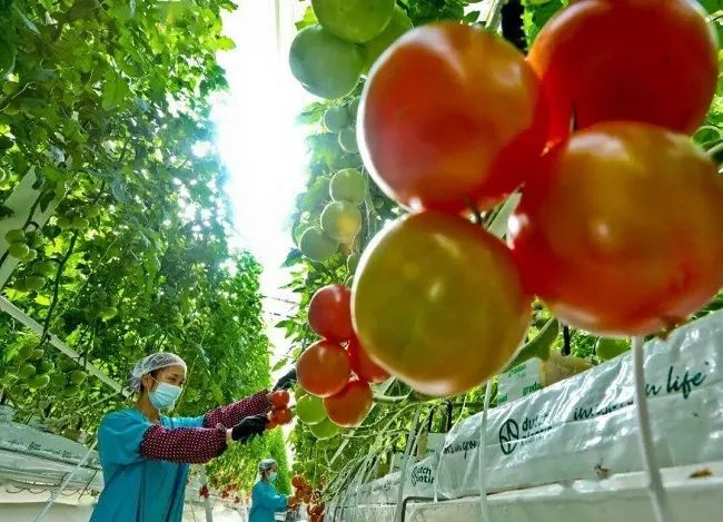 微信圖片_20231031095239.jpg 微信圖片_20231031095239.jpg