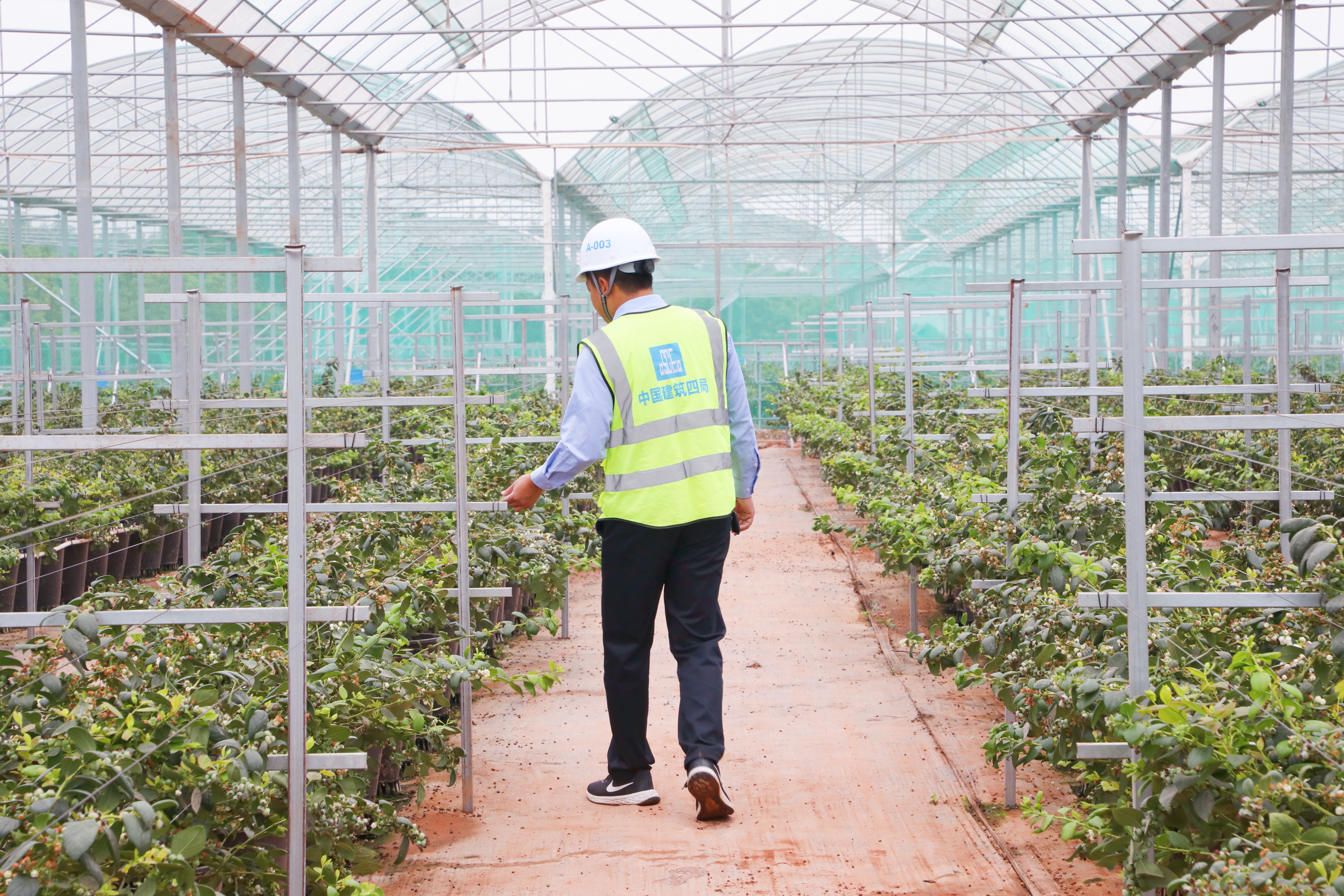 基地內部實景 (2).jpg 基地內部實景 (2).jpg